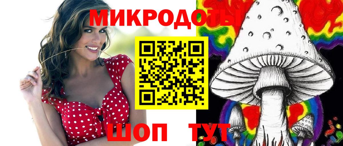 Псилоцибиновые грибы Psilocybine cubensis Кисловодск